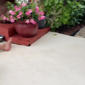Video by sophisummers published on March 9,2023 03:40:00 - BestThots
