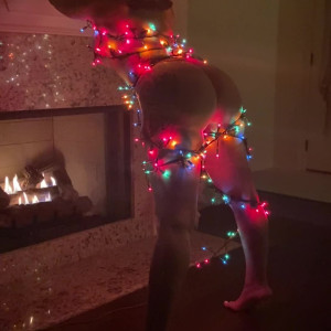 Video by mstriggahappyy published on July 2,2023 02:43:00 - BestThots