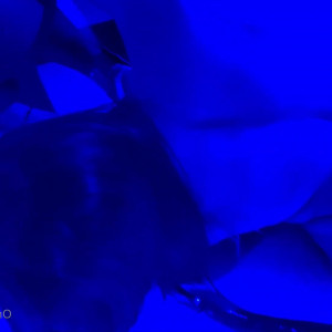 Video by miamarin published on March 24,2023 05:54:00 - BestThots