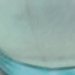 Video by reiinapop published on August 21,2023 08:28:00 - BestThots