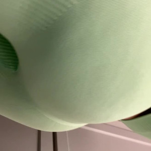 Video by badbellaxo published on June 18,2023 06:33:00 - BestThots