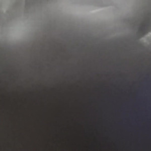 Video by thegoldyrush published on March 20,2023 07:46:00 - BestThots