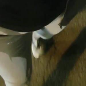 Video by yourwetathlete published on April 17,2023 03:26:00 - BestThots