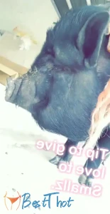 Video by sullysavage published on January 18,2025 21:00:14 - BestThots