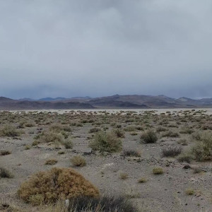 Video by embersnow published on March 11,2023 04:59:00 - BestThots