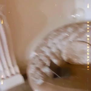 Video by dreamofdae published on July 19,2023 21:53:00 - BestThots