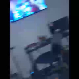 squirrelxrated #4519475