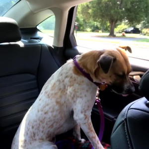 Video by lilsmirk published on August 4,2023 01:03:00 - BestThots