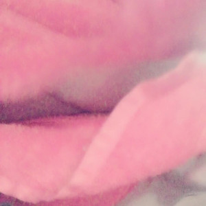 Video by xomorganlane published on August 27,2023 11:26:13 - BestThots