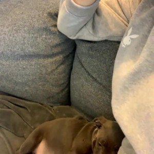 Video by alexabrookexx published on March 28,2023 13:04:00 - BestThots