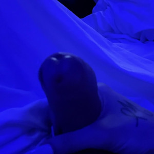 Video by austinxsummers published on June 10,2023 14:59:00 - BestThots