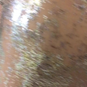 Video by alexapond published on July 12,2023 08:58:00 - BestThots