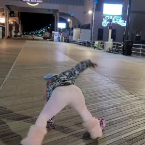 Video by sungypsy published on August 27,2023 12:09:17 - BestThots