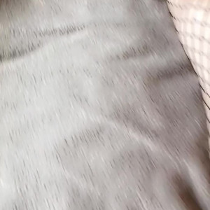 Video by jnorthx published on April 29,2023 02:41:00 - BestThots