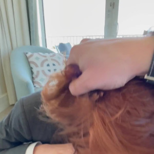 Video by aliceoncamfree published on May 11,2023 02:38:00 - BestThots