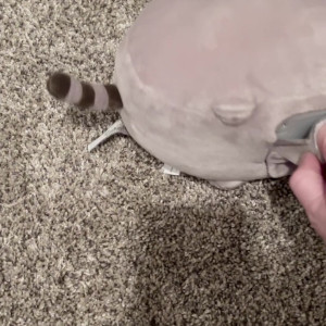 Video by theemilylynne published on March 15,2023 03:53:00 - BestThots