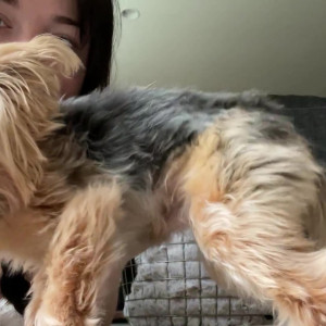 Video by theemilylynne published on June 16,2023 00:31:00 - BestThots