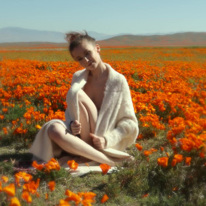 Video by theemilybloom published on April 29,2023 22:36:00 - BestThots