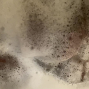 Video by sminc42 published on June 16,2023 00:19:00 - BestThots