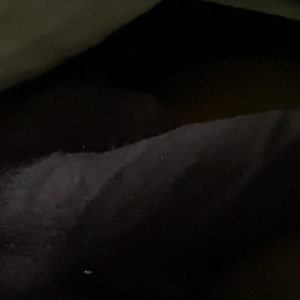 Video by sminc42 published on March 23,2023 13:53:00 - BestThots