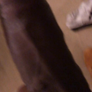 Video by sminc42 published on July 3,2023 10:02:00 - BestThots
