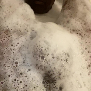 Video by sminc42 published on April 12,2023 02:17:00 - BestThots