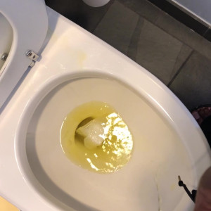 Video by sminc42 published on April 17,2023 10:05:00 - BestThots