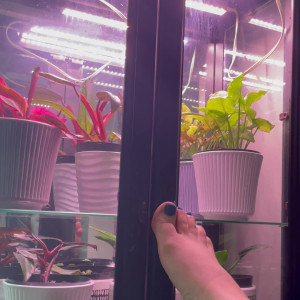 fetish_goddess_j #3670706