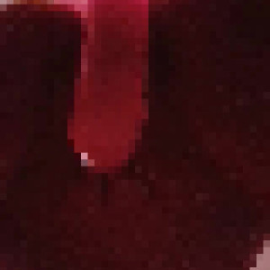 Video by succubo2d published on June 21,2023 14:38:00 - BestThots