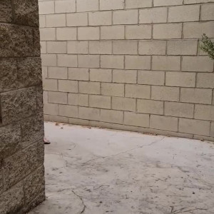 Video by gypssaii published on March 30,2023 20:25:00 - BestThots