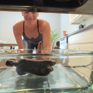 Video by giantesstara published on August 2,2023 08:22:00 - BestThots