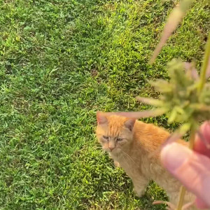 Video by itsgorjess published on April 19,2023 10:21:00 - BestThots