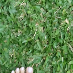 Video by juliette_rj published on July 20,2023 15:49:00 - BestThots