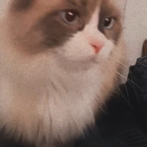 Video by sleepylaika published on March 8,2023 04:15:00 - BestThots