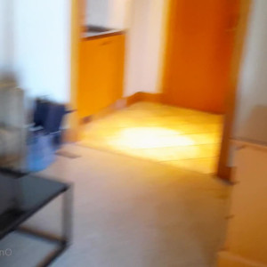 Video by nimrodfkk published on May 17,2023 06:11:00 - BestThots