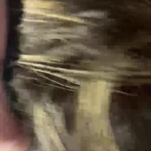 Video by thekasperjames published on July 20,2023 03:37:00 - BestThots
