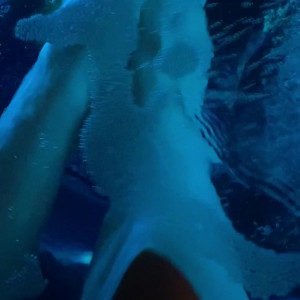 amazonianstoes #8423275