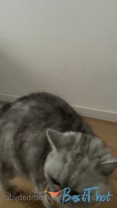 gothbabydoll #9731114