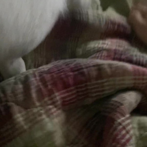 Video by lanax420 published on March 11,2023 19:56:00 - BestThots