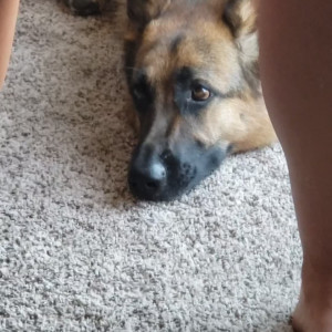 Video by hannaray published on August 27,2023 14:14:24 - BestThots