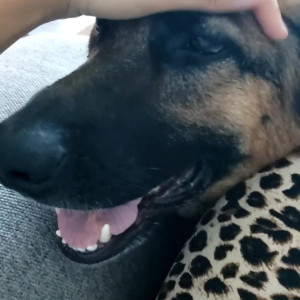 Video by hannaray published on August 27,2023 14:09:40 - BestThots