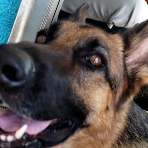 Video by hannaray published on August 27,2023 14:17:30 - BestThots