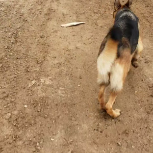 Video by hannaray published on August 27,2023 14:13:14 - BestThots