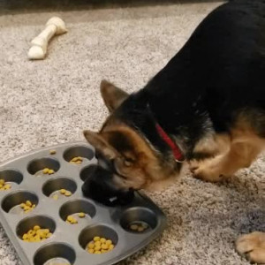 Video by hannaray published on August 27,2023 14:11:48 - BestThots