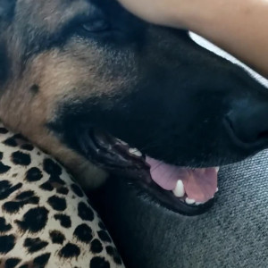 Video by hannaray published on August 28,2023 12:58:00 - BestThots