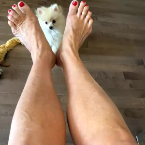 Video by fitcougar50 published on April 27,2023 05:14:00 - BestThots