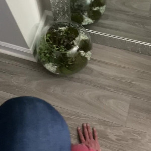 Video by princeskristina published on April 28,2023 04:31:00 - BestThots
