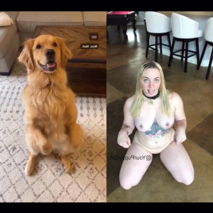 Video by yourpuppygirl published on August 15,2023 17:38:00 - BestThots