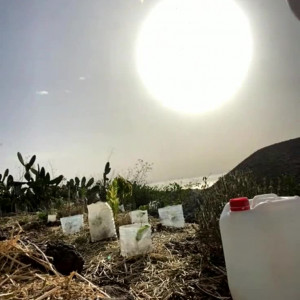 Video by emilyamateur published on January 12,2024 08:03:15 - BestThots