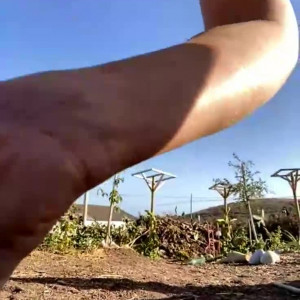 Video by emilyamateur published on January 12,2024 08:05:47 - BestThots